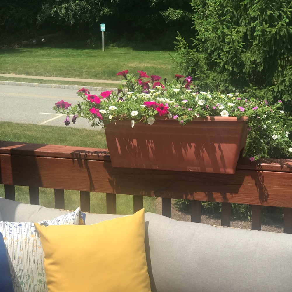 Meet your Posher, Engy